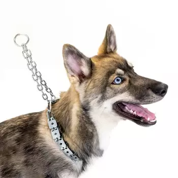 Дарэленд ошейник строгий пластинчатый цинк (55 см. х 27 мм.)