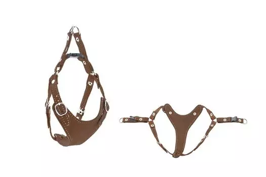 Дарэленд шлейка замша быстросъёмная Ева (M, Коричневая)