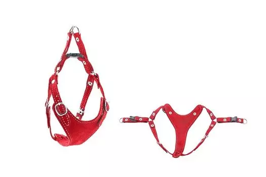 Дарэленд шлейка замша быстросъёмная Ева (M, Красная)