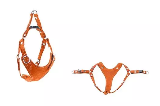 Дарэленд шлейка замша быстросъёмная Ева (M, Рыжая)