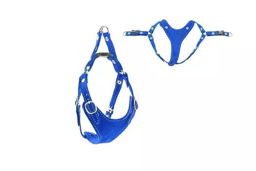 Дарэленд шлейка замша быстросъёмная Ева (M, Синяя)