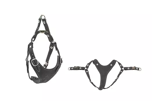 Дарэленд шлейка замша быстросъёмная Ева (M, Черная)