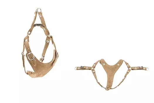 Дарэленд шлейка замша быстросъёмная Ева (S, Бежевая)