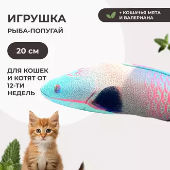 Dono Della игрушка Рыба попугай с кошачьей мятой и валерианой для кошек (20 см.)