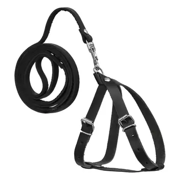 Dono Della комплект кожаный шлейка+поводок для щенков и кошек (Обсидиан)