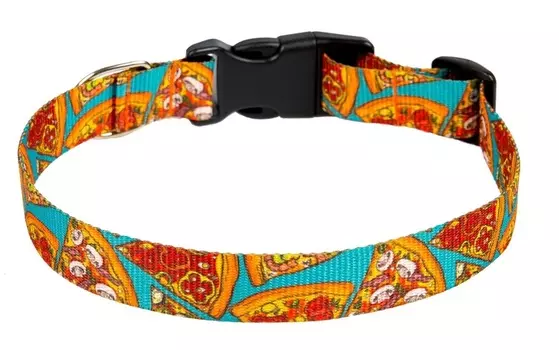 Dono Della ошейник нейлоновый "Бирюзовый пикник" (S)