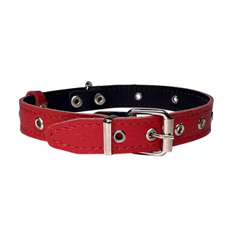 Dono Della ошейник универсальный двухслойный (20 мм. х 40 см., Красный)
