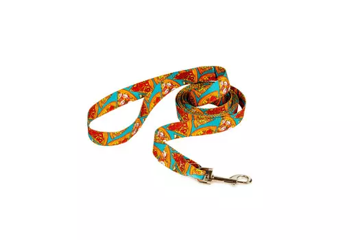 Dono Della поводок нейлоновый "Бирюзовый пикник" (5 м.)