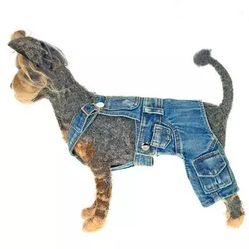 Джинсы Happy Puppy для собак (XL, Унисекс)