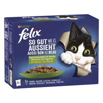 Felix Аппетитные кусочки мультипак для кошек микс вкусов (Ассорти, 85 г. (12 шт.))