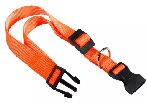 Ferplast ошейник нейлоновый Club C15/44 (Оранжевый)