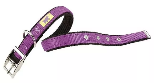 Ferplast ошейник нейлоновый Dual CF15/35 Colours (27-35*15 мм, Фиалковый)