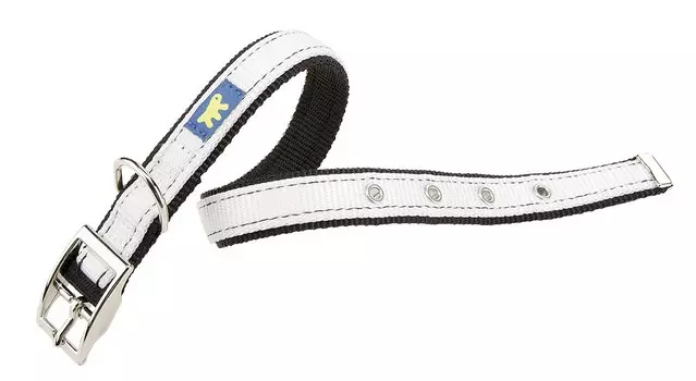 Ferplast ошейник нейлоновый Dual CF15/35 Colours (27-35*15 мм, Белый)