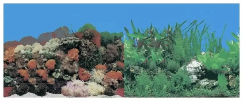 Фон для аквариума двухсторонний Кораллы/Растительный (50 х 100 см.)