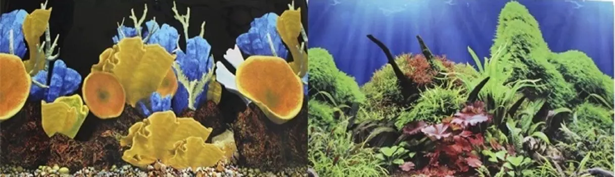 Фон для аквариума двухсторонний Морские кораллы/Подводный мир (50 х 100 см.)