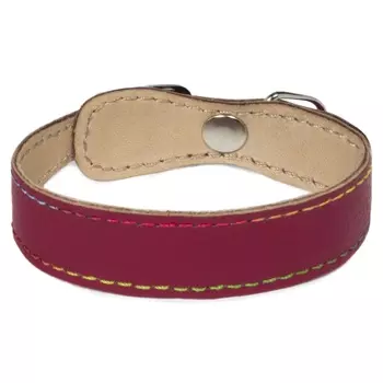 Гамма ошейник-мини кожаный двойной с расширением (20 мм х 20 см.)