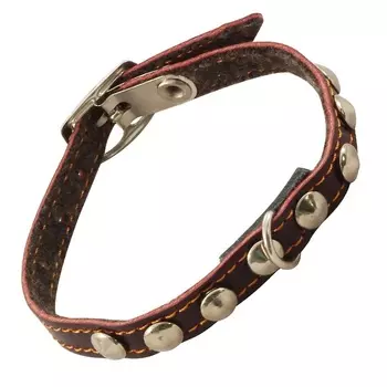Гамма ошейник-мини кожаный одинарный на синтепоне с украшением (10 мм х 25 см.)