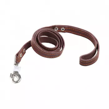 Геогазтехнология поводок кожаный одинарный (№ 13)