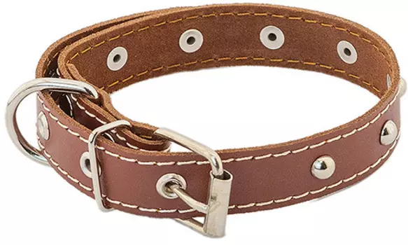 HOMEPET ошейник для собак кожаный двойной с украшениями простроченный двухслойный (28-38 см., Коричневый)