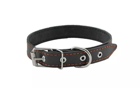 HOMEPET ошейник для собак кожаный простой простроченный (35-47 см., Черный)