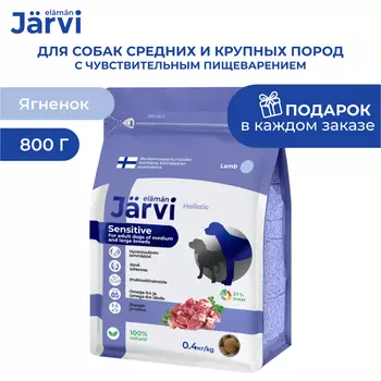 Jarvi сухой полнорационный корм для взрослых собак средних и крупных пород с чувств. пищеварением (Ягненок, 800 г.)