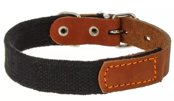 Каскад ошейник брезентовый с кожей (43-51 см.)
