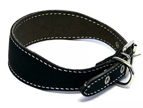 Каскад ошейник кожаный д/левретки таксы с синтепоном (25-32 см.)