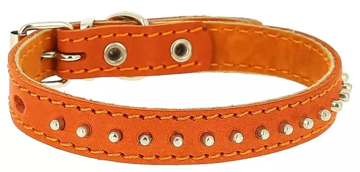 Каскад ошейник кожаный двойной с шипами-ёж (31 - 39 см.)