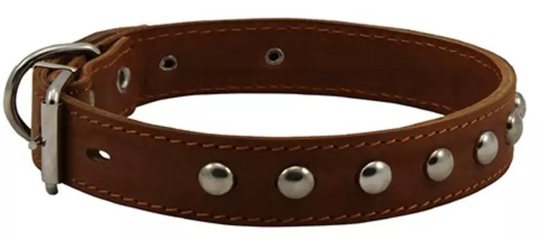 Каскад ошейник кожаный двойной с украшением (50-59 см., Коричневый)