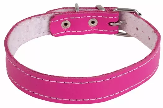 Каскад ошейник кожаный с синтепоном (50-59 см.)
