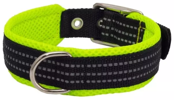 Каскад ошейник нейлоновый с мягкой подкладкой (39-45 см., Зеленый)