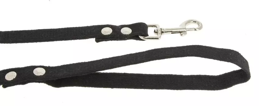 Каскад поводок брезентовый прошитый со стальным карабином (ширина 25 мм, длина 3 м.)