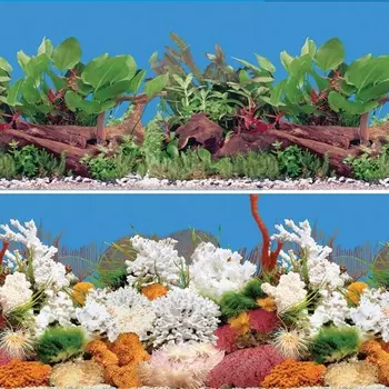 Laguna фон Белый коралл/Оазис 0,6 х 15м (15 м.)