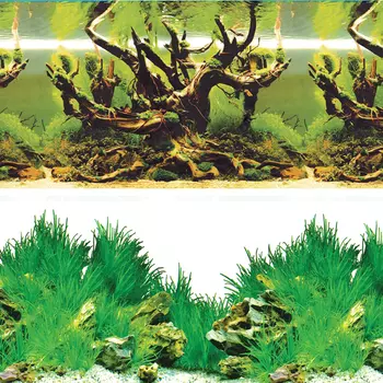 Laguna фон Таинственный лес/Новое утро (50 х 100 см..)