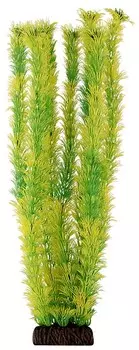 Laguna растение Амбулия (40 см., Желто-зеленый)
