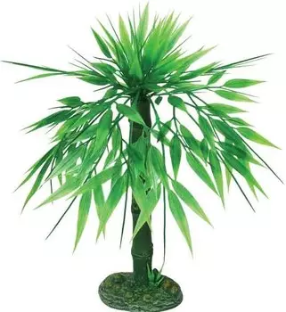 Laguna растение Бамбук