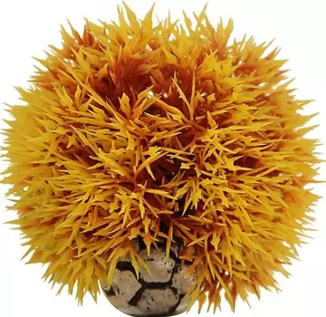 Laguna растение Кладофора (Коричневый)