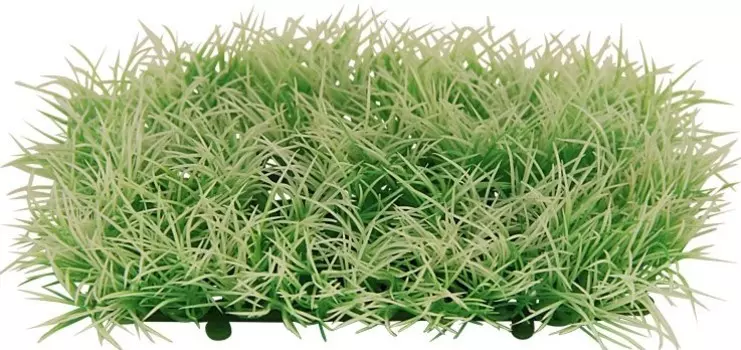 Laguna растение Коврик (4 см., Белый)