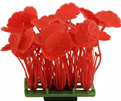 Laguna растение Коврик ассорти (Красный)