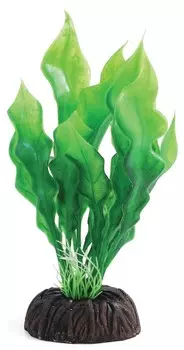 Laguna растение Апоногетон (10 см., Зеленый)