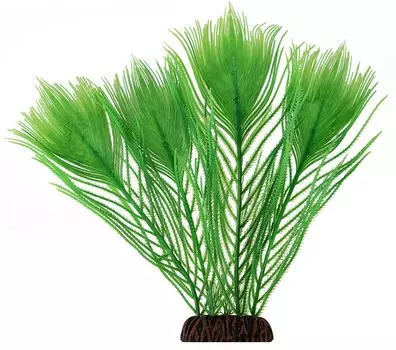 Laguna растение Эгерия (25 см., Зеленый)