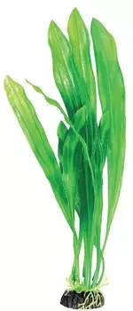 Laguna растение Эхинодорус (20 см., Зеленый)