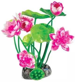 Laguna растение Нимфея (20 см., Розовый)