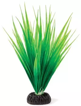 Laguna растение Сагиттария (25 см., Зеленый)