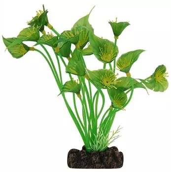 Laguna растение Спатифиллум (20 см., Зеленый)