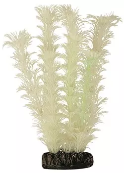 Laguna растение светящееся Амбулия (20 см., Белый)