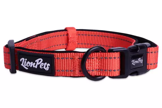 Lion ошейник для собак из полиэстера с неопреном и светоотражающими полосками LPO-00510 (20мм*33-55 см., Оранжевый)