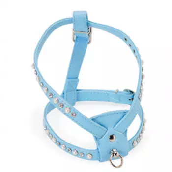 Lion шлейка кожаная со стразами (Голубой)