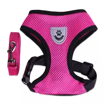 Lion шлейка с поводком нейлоновая LP-2302 (S, Розовый)