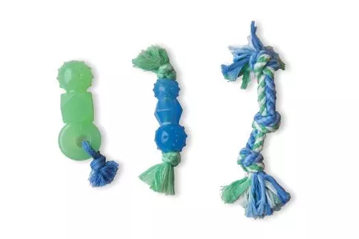 Petstages игрушка Mini ОРКА "Дентал набор" для собак (15 см.)